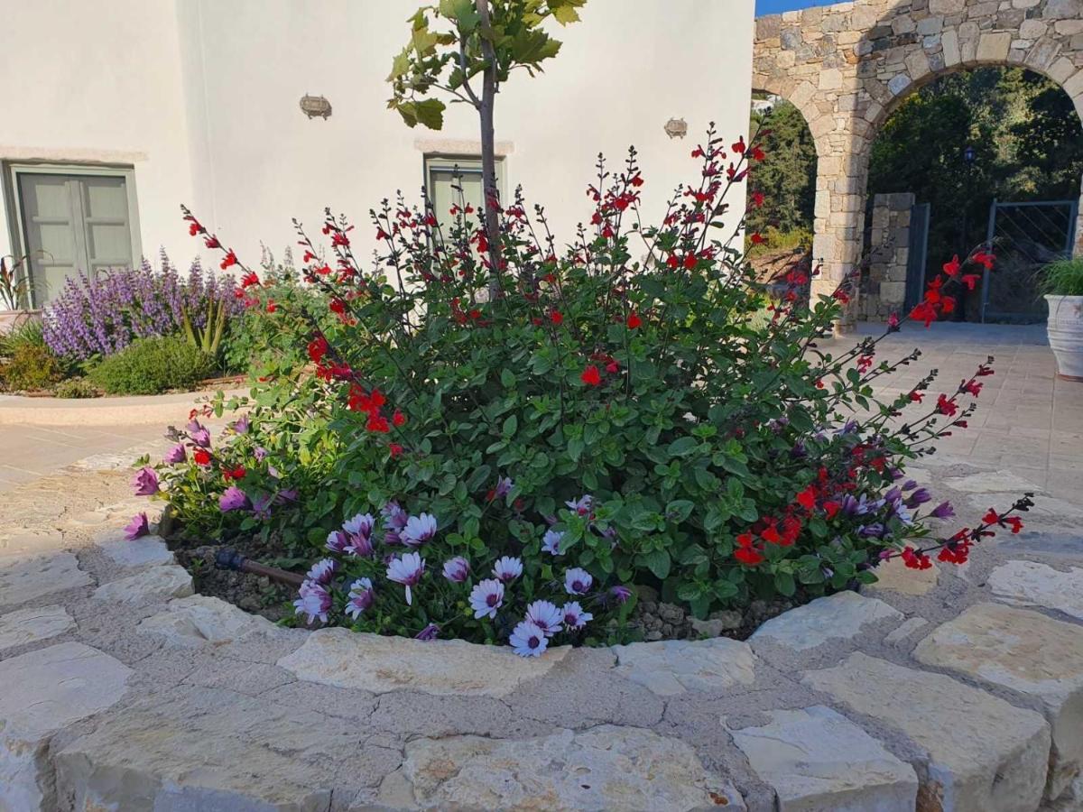 Anamnezia Luxury Suites (Adults Only) Agios Dimitrios  Экстерьер фото